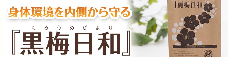 �����E��ւ����P����T�v���u���~���a�v���T�C�g